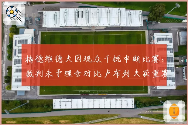 梅德维德夫因观众干扰中断比赛，裁判未予理会对比卢布列夫获重赛